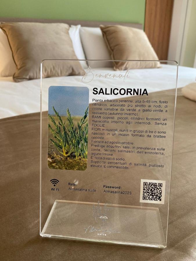 Bed & Breakfast Alma Salina
